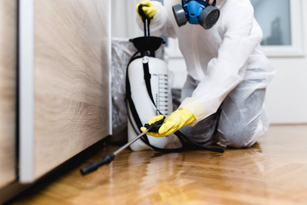 Best Mosquito Control Services  in Marshfield, MO