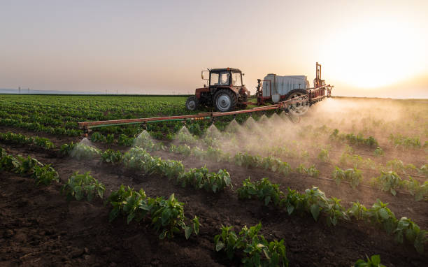 Insect Control in Marshfield, MO