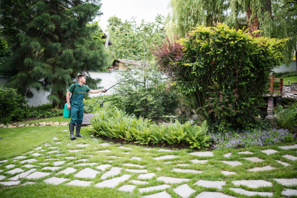 Pest Prevention Services in Marshfield, MO