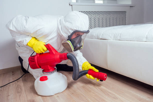 Professional Pest Control in Marshfield, MO