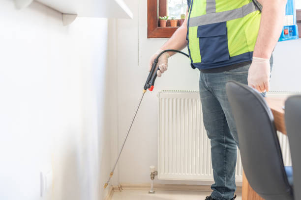 Best Flea Control Services  in Marshfield, MO