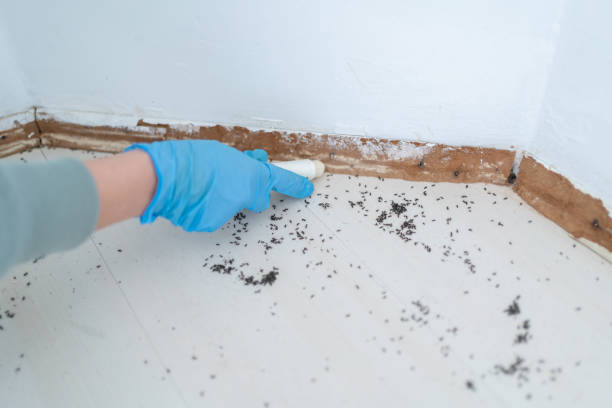 Best Pest Prevention Services  in Marshfield, MO