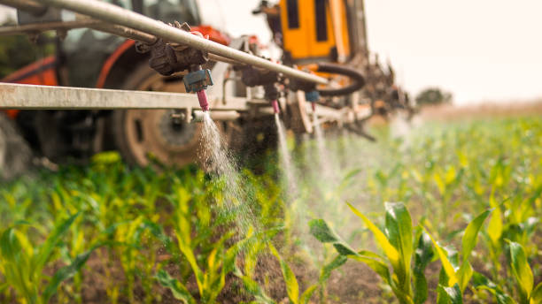 Best Local Pest Control Services  in Marshfield, MO
